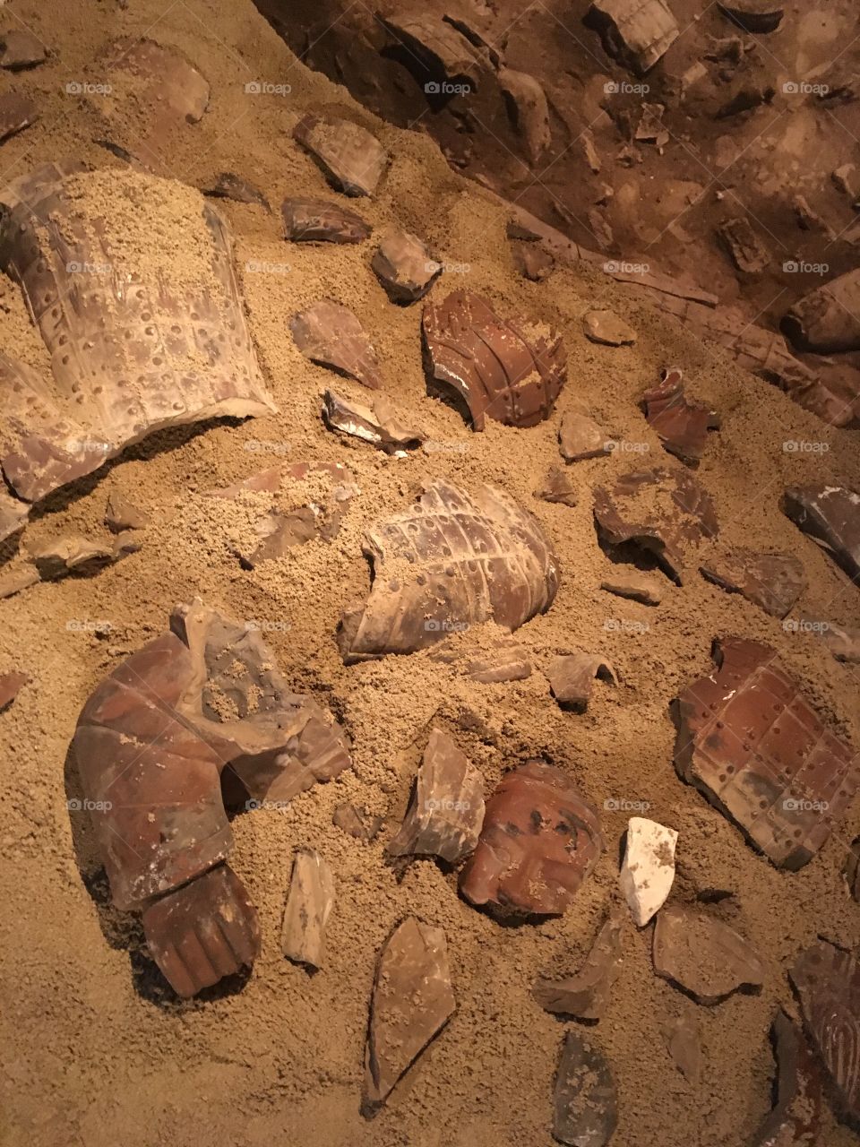 Broken terra-cotta warrior 