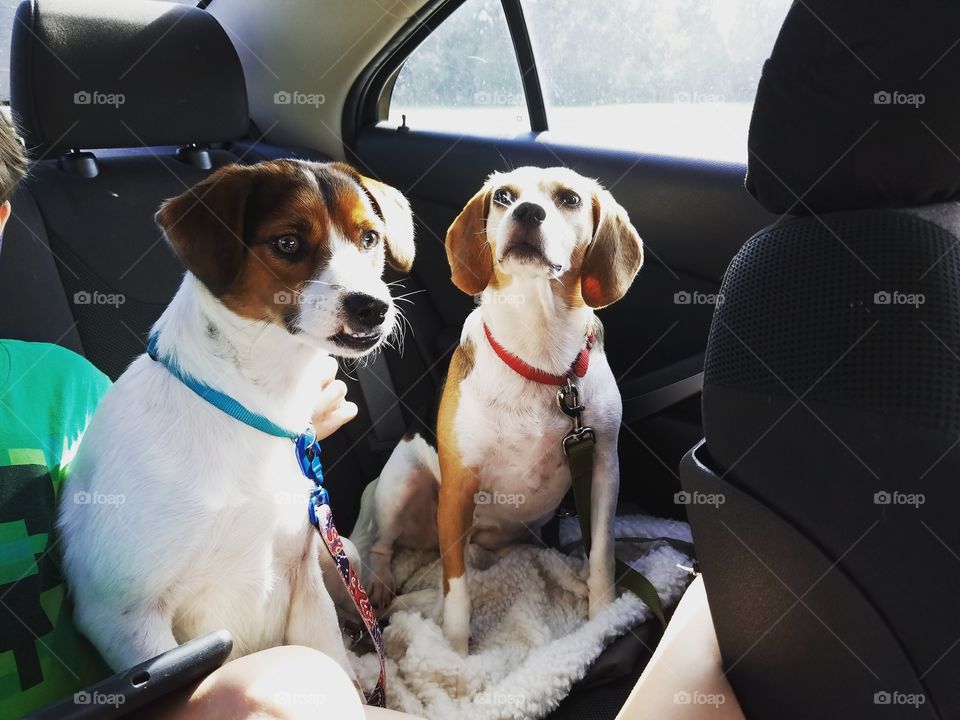 BUT WHERE ARE WE GOING MOM?!?!