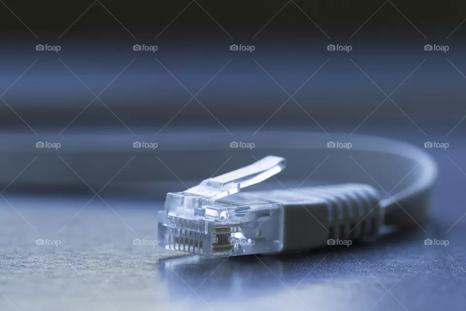 LAN plug