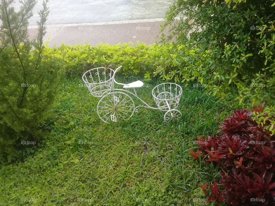 tricycle decorates the garden