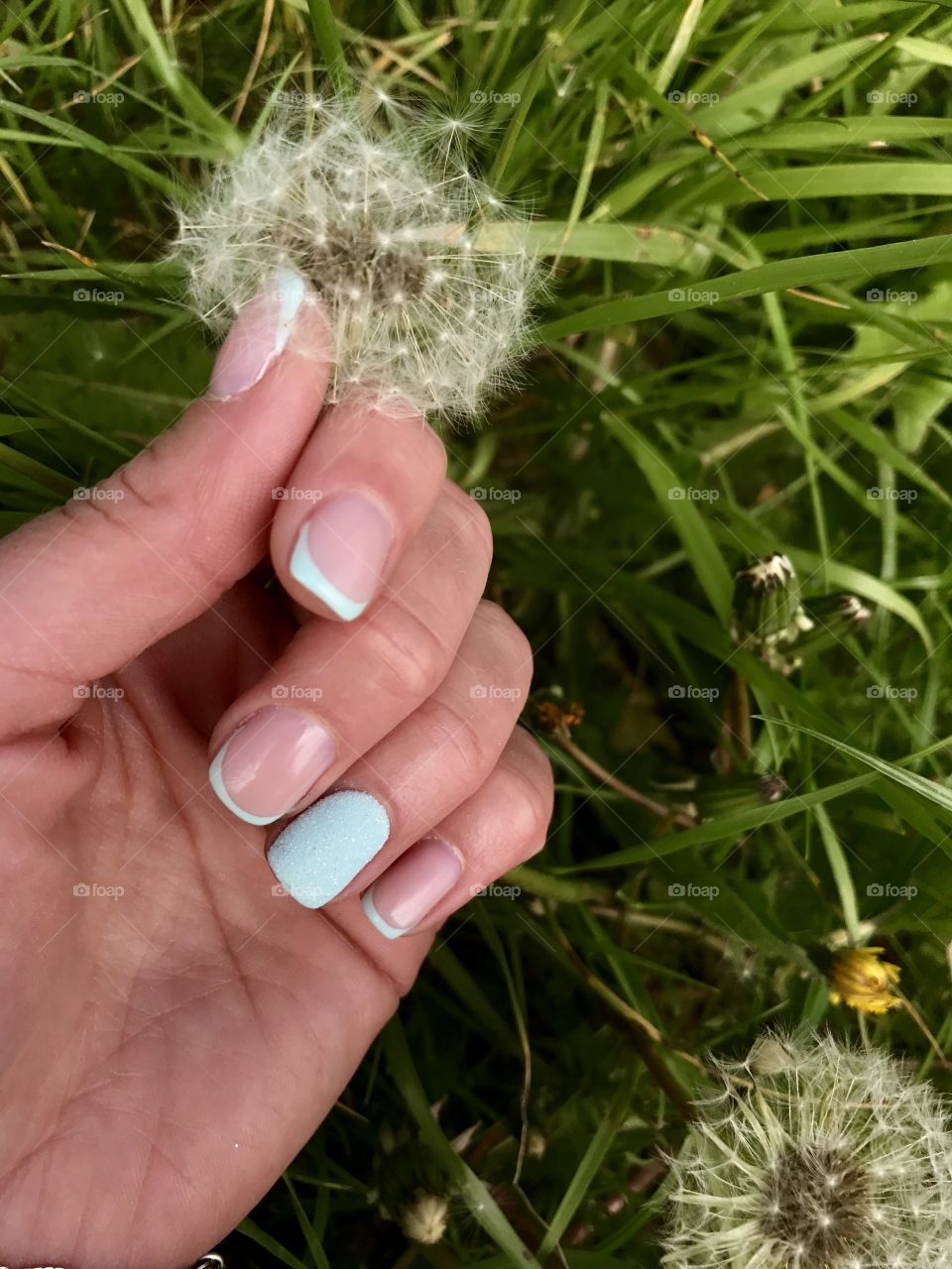 Mint color nails and dandelion 