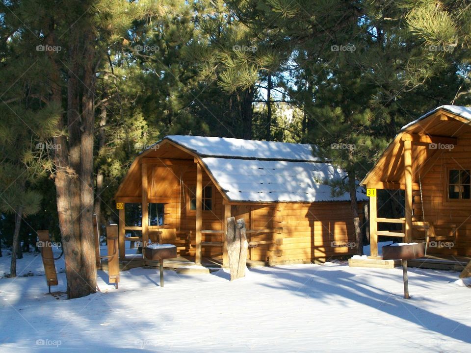 Cabins in the woods