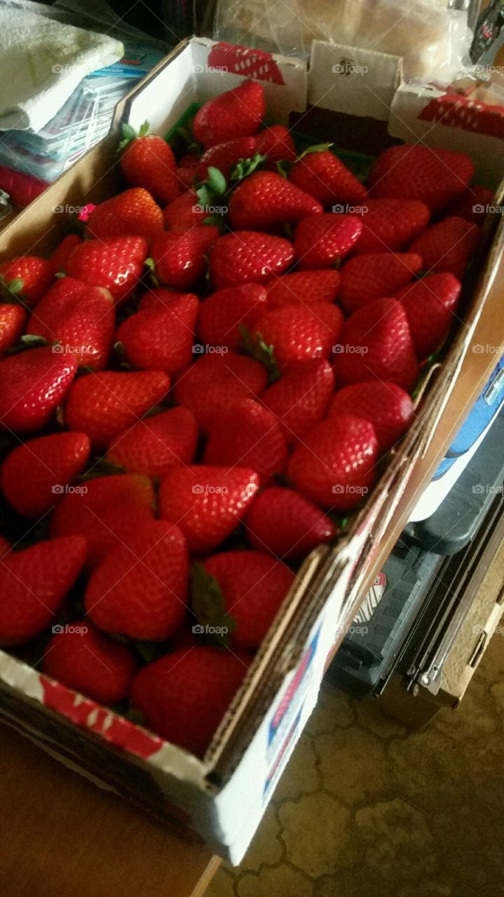 fresh clean strawberries