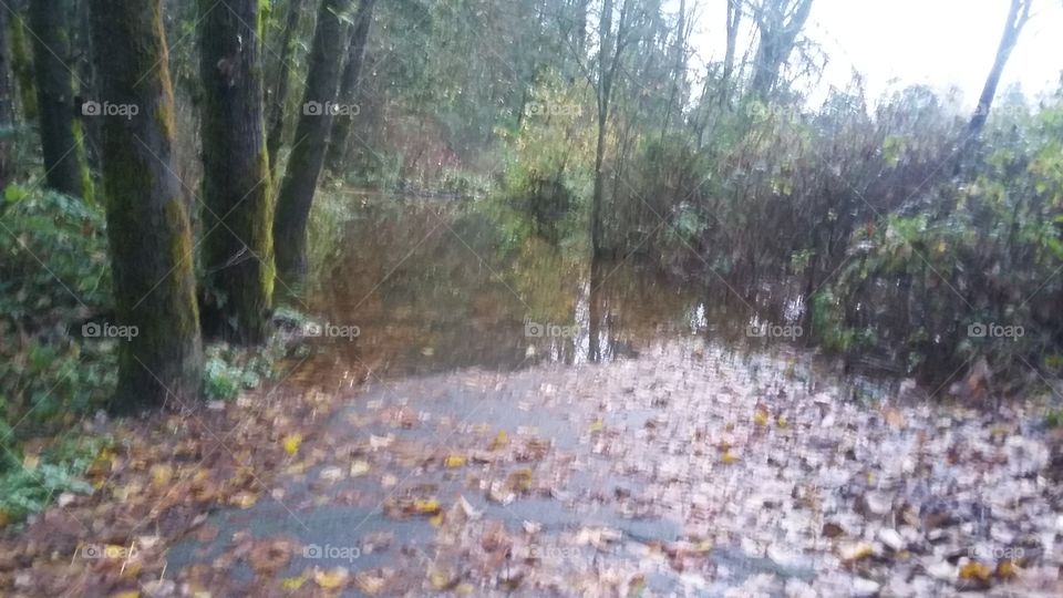 Trail has Flooded