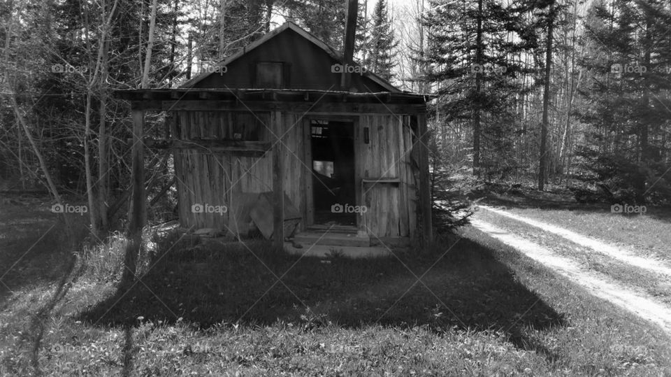 Old Cabin