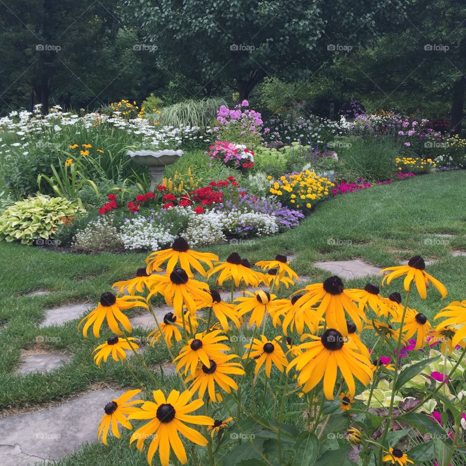Color Galore . Michigan garden in July! My mom is a Master Gardener and her yard is amazing in the summer!