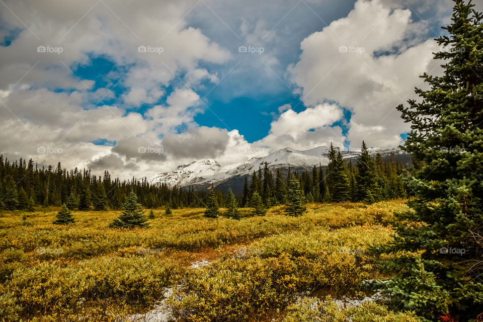View of nature in winter