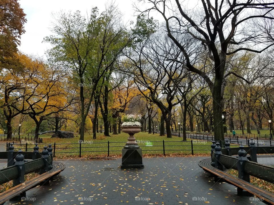 flower urn in Central Park