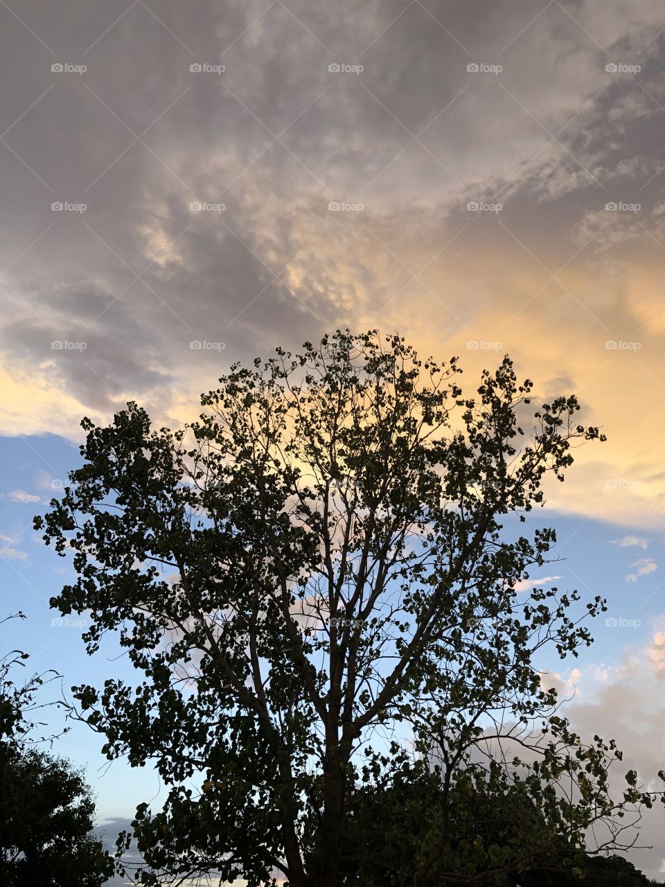 Una mirada al cielo 😍