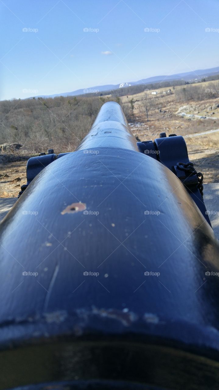 View from a Cannon