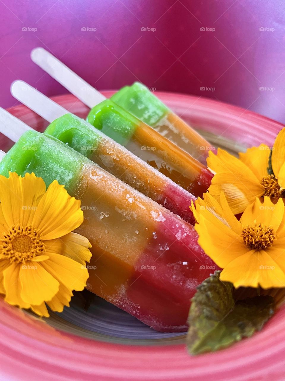 A cool Summer with Popsicles!!!!!