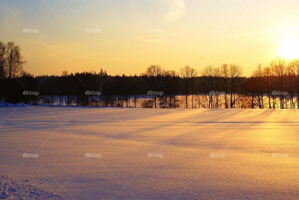 Winter landscape