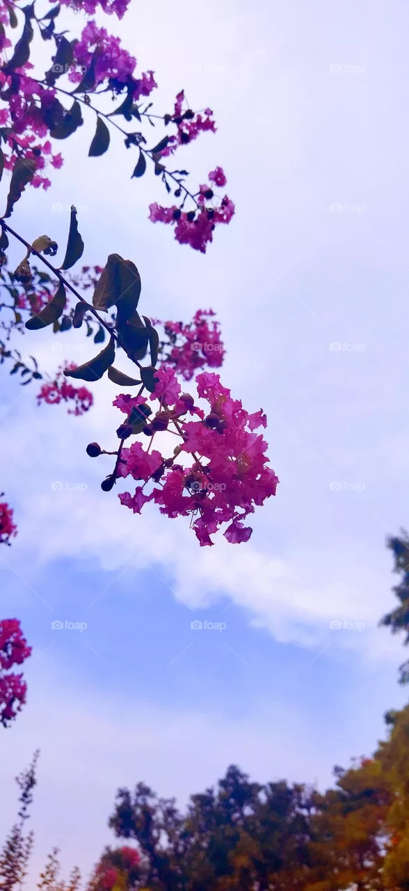 💮