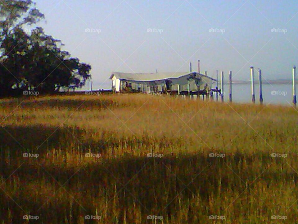 Marsh grass and old dock SSI, GA