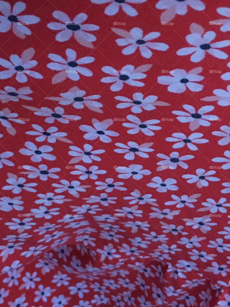 Red white and blue. Flowers. Floral print. Beautiful american print. 