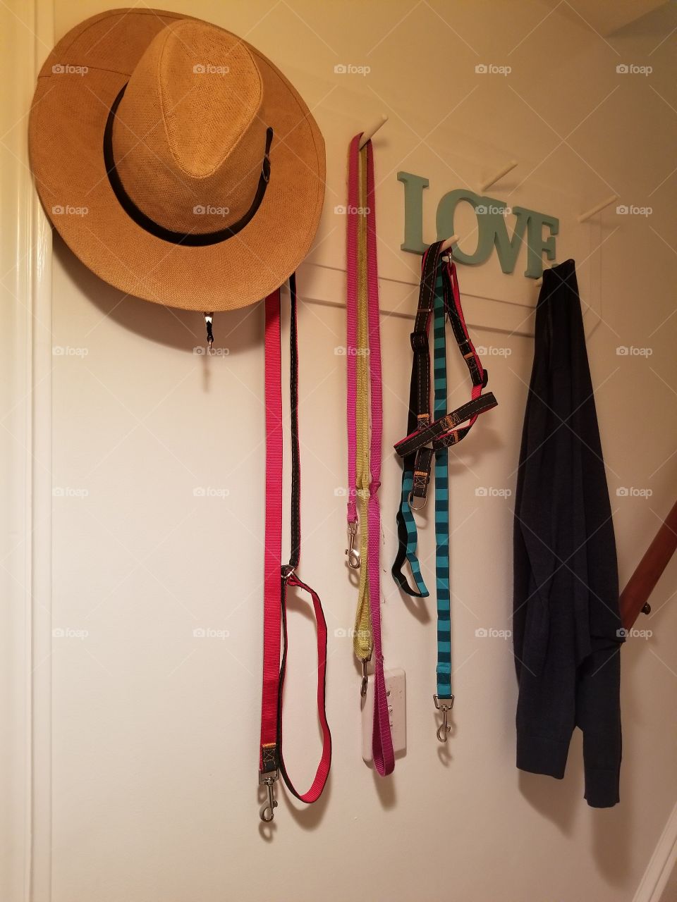 dog leash coat hat rack