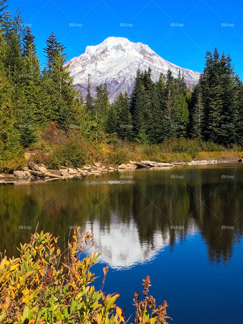 “Reflections on Mirror Lake” Mt Hood is reflected in the serene and picturesque Mirror Lake, Mount Hood National Forest, Oregon.