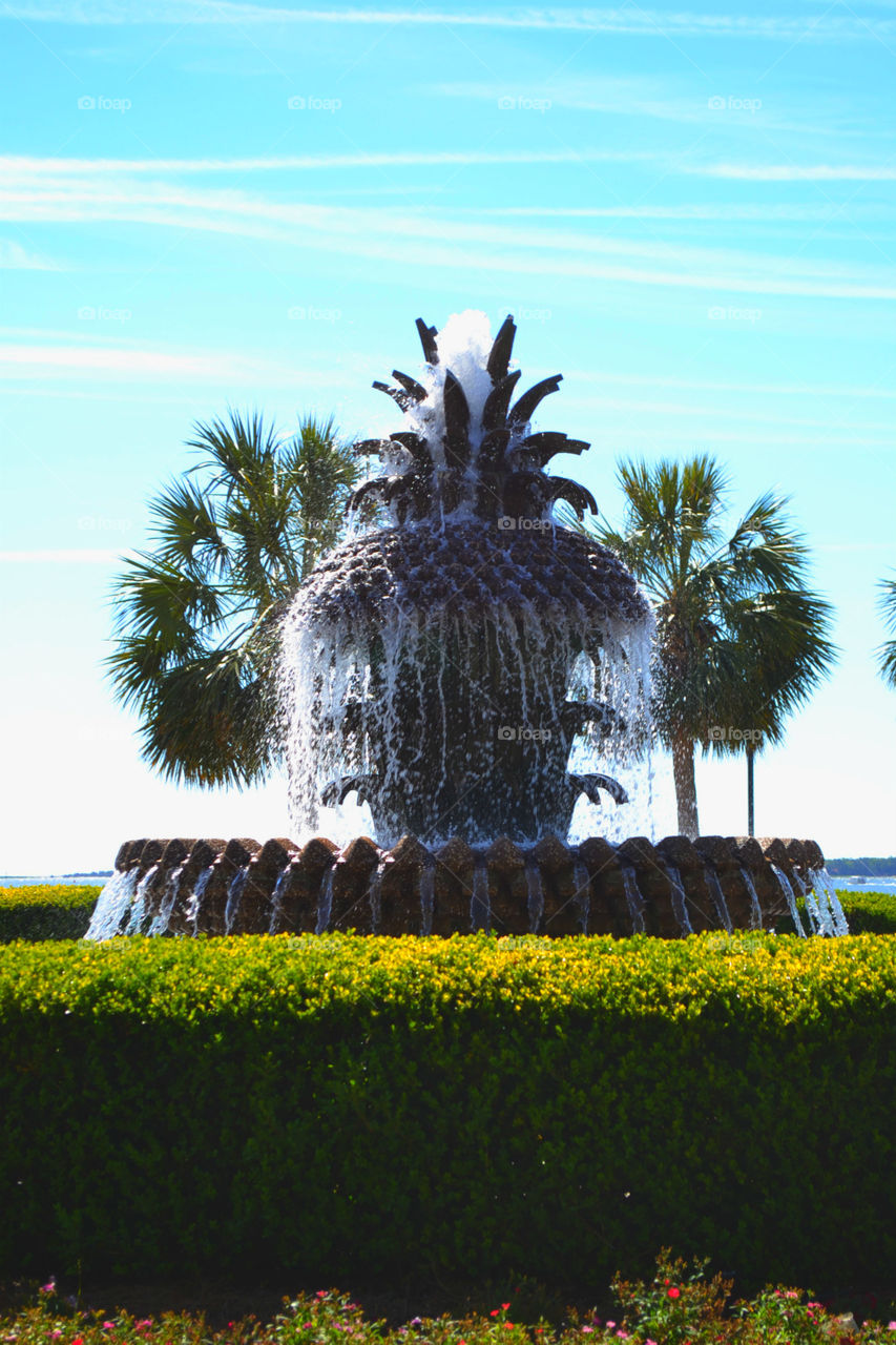 Pineapple Fountain by the Dock