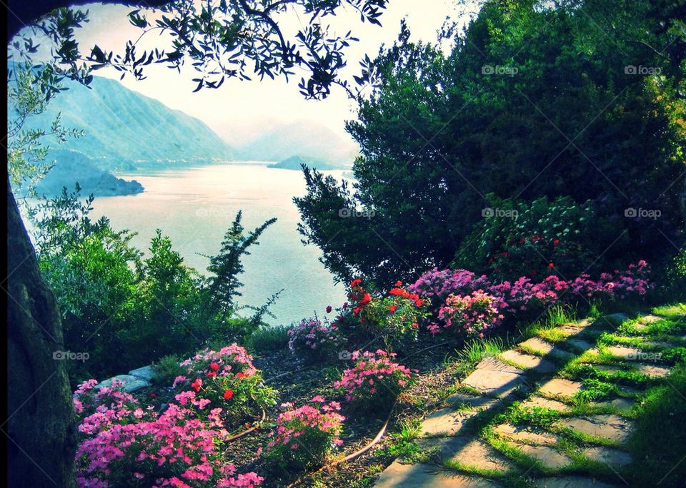 Lake Como Flowers