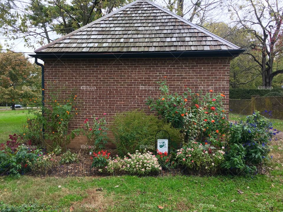 Garden in the fall