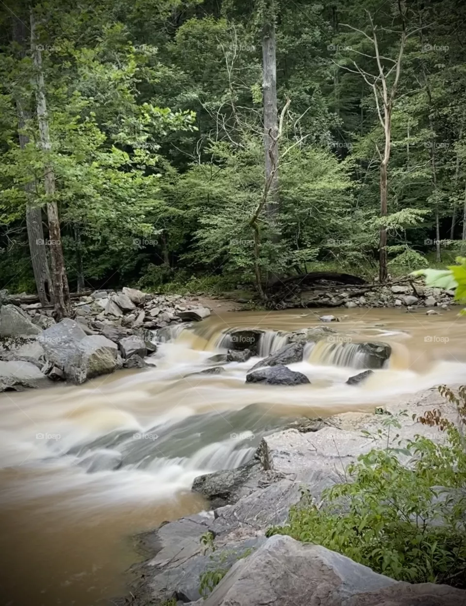 Raging muddy river