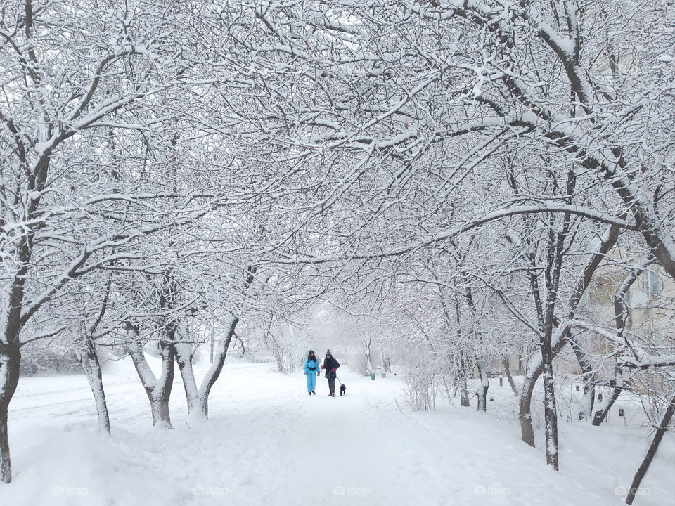 Couple with a dog walking under the snow covered trees in winter 