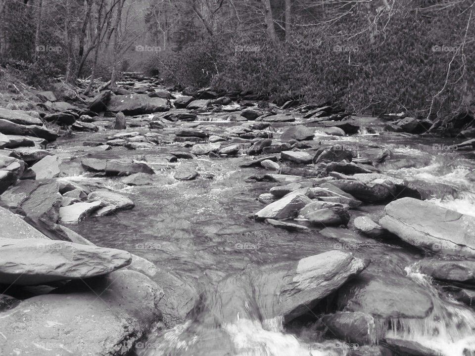 Running creek