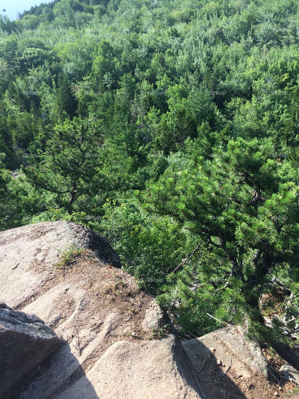 Looking down off a cliff side