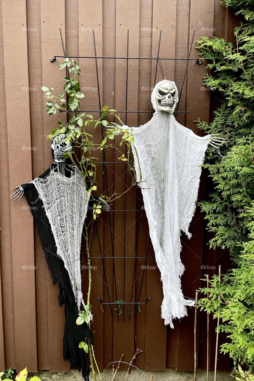 Halloween decoration , ghosts and skeletons 