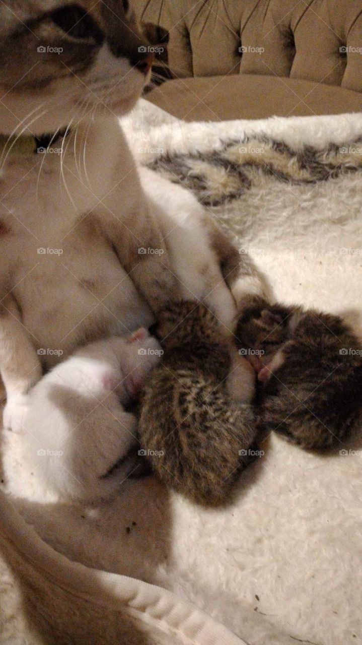 Nada como estar com a mamãe.