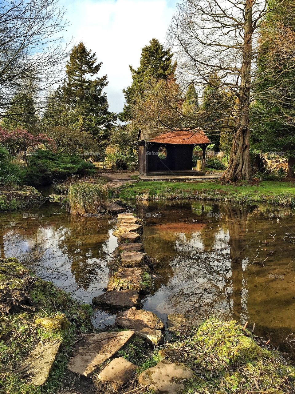 Stepping stone on water at garden