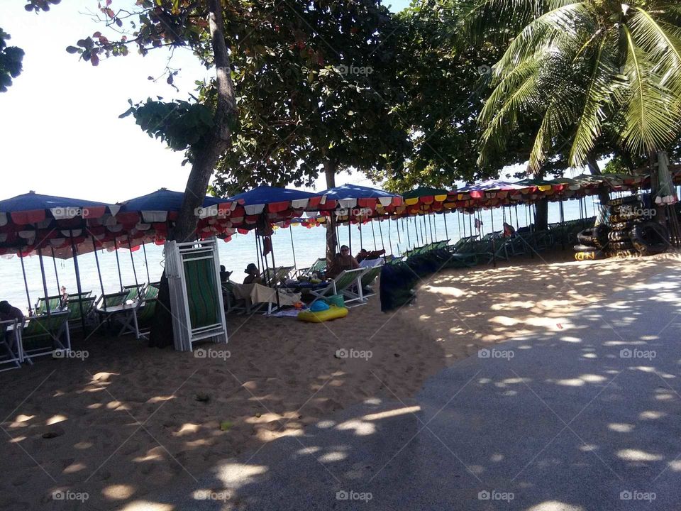 rectangle shaped folded chairs .