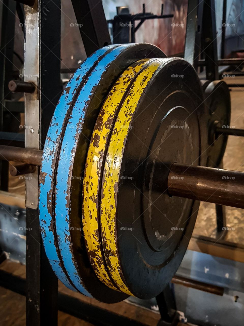 metal barbell in the gym