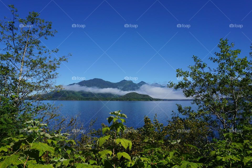 Low lying cloud hovering just above the lake makes a very magical morning photo 