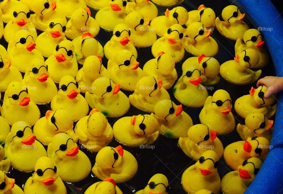 Yellow Rubber Duckies