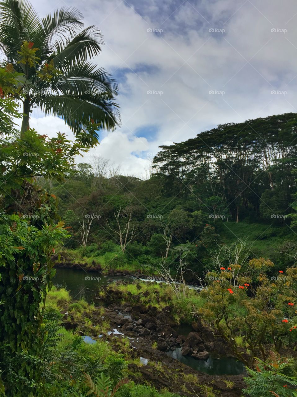 Hiking 