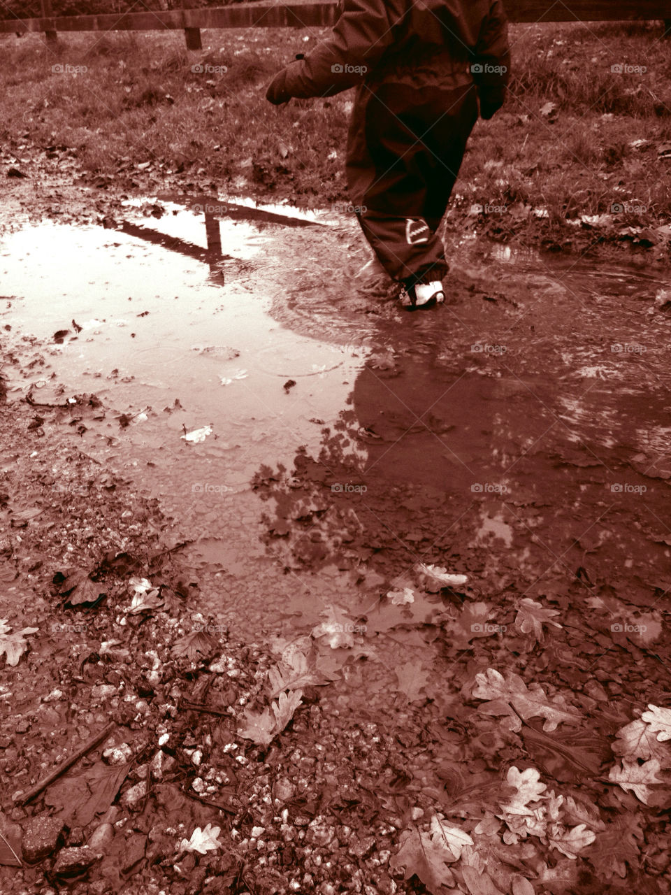 fall puddle höst vattenpöl by Vompi