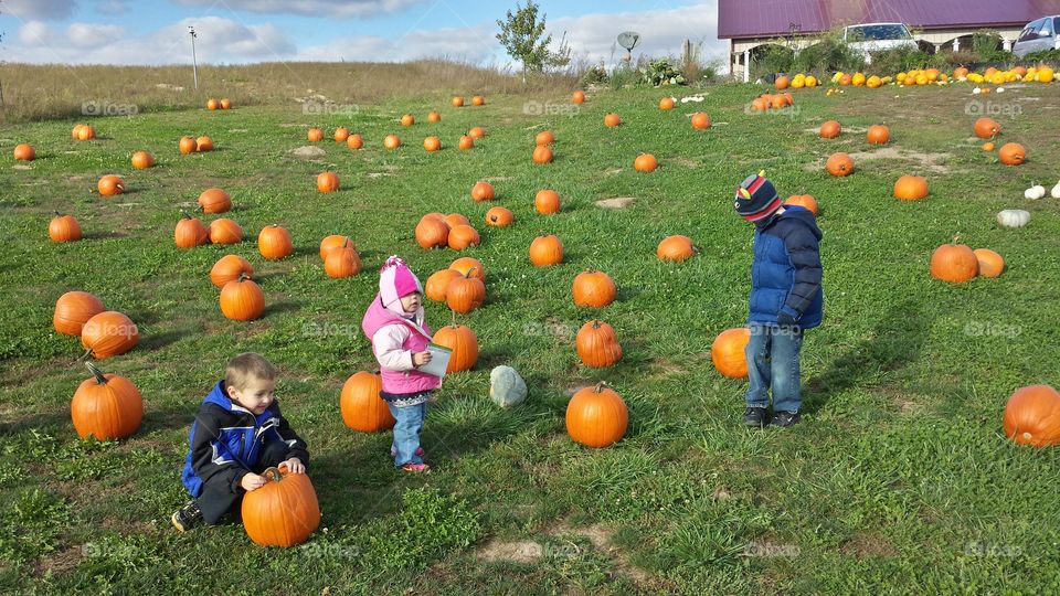 pumpkin hunting. Family trip to bass farms