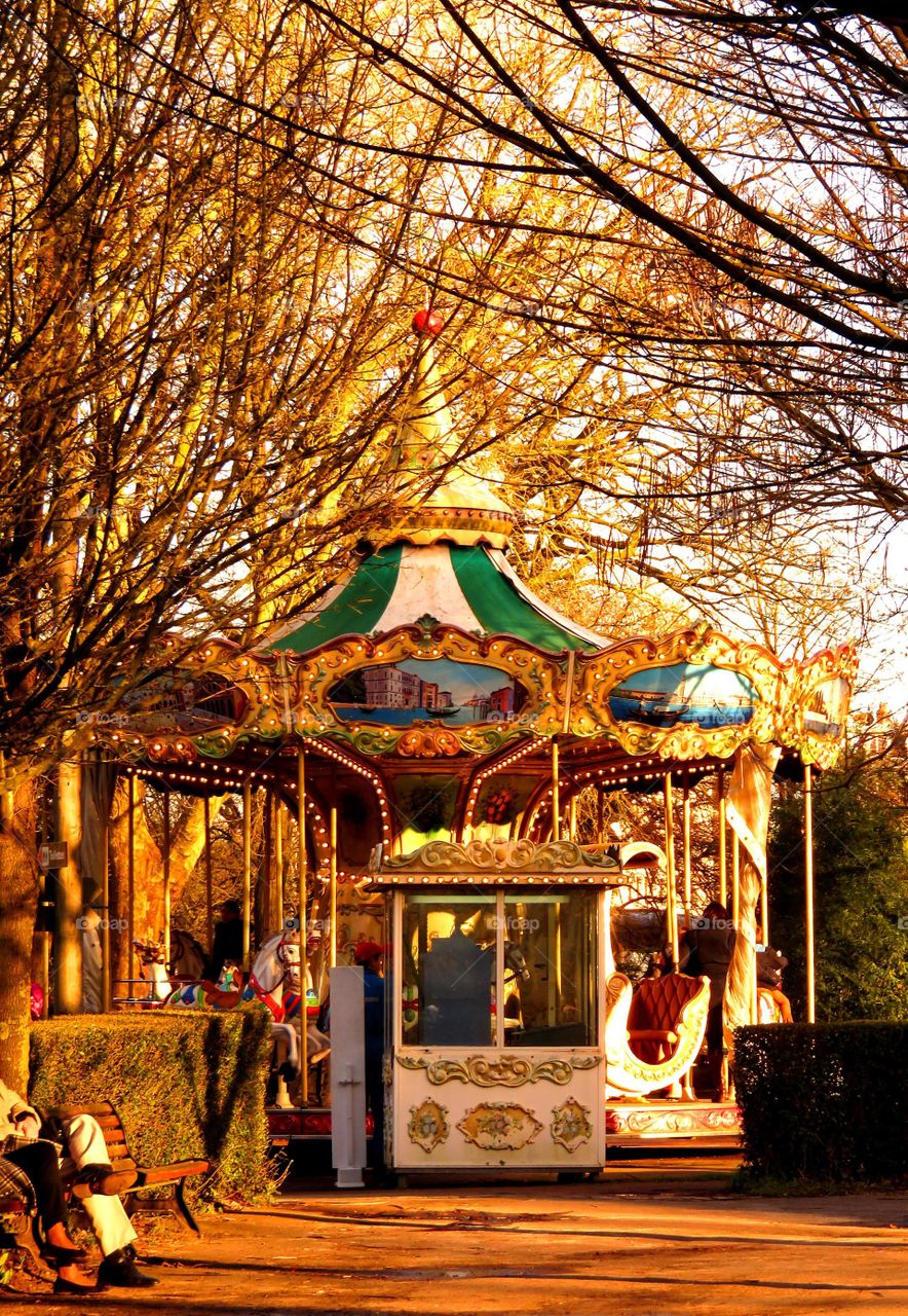 carousel in the park