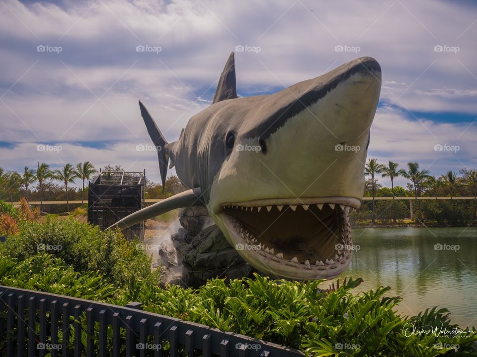 Shark statue