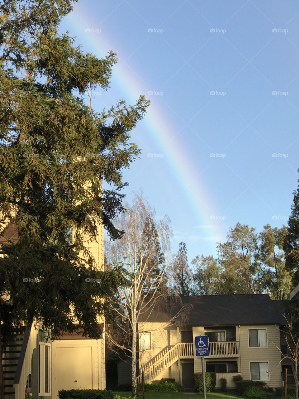 California Rainbow