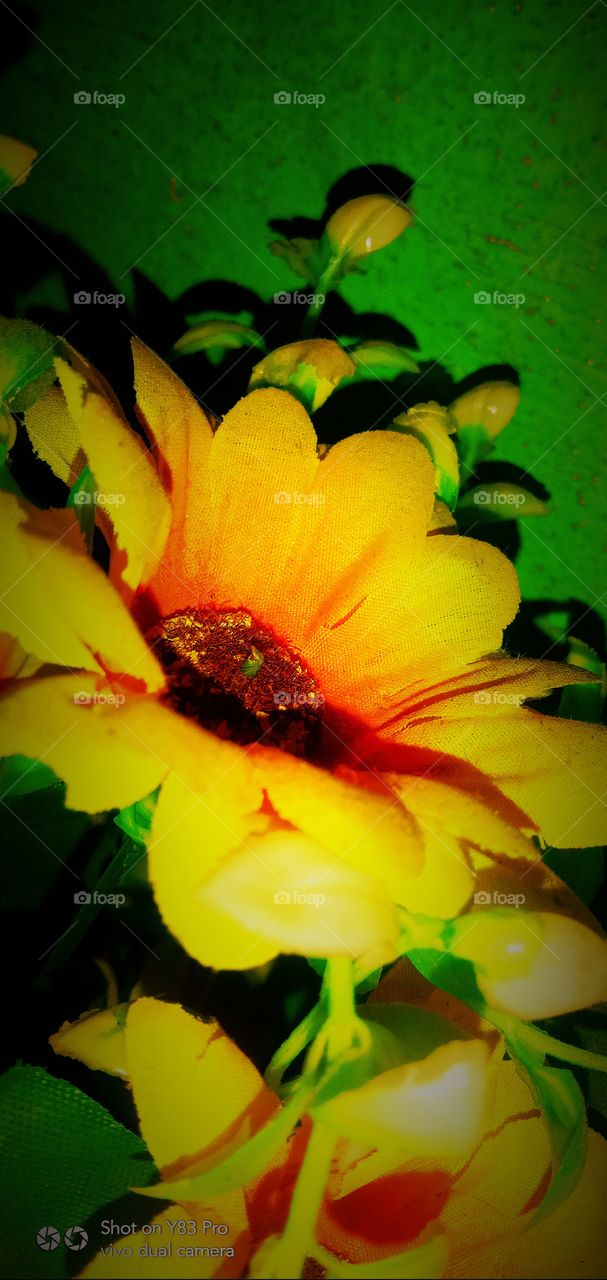 #foap #infoapartemen #foapjuly18 #foapaug18 #foapfeb18 #foapapril17 #foapers #foapjune18 #fotografoaprendiz #sfoapprentices #foaper #infoapartment #foapmission #foapmay18 #foapapr18 #foapit #infoaplikasipaytren #infoapple #foapom #foapjan19 #infoapp