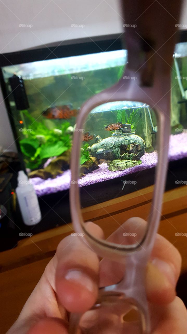 through my actual glasses