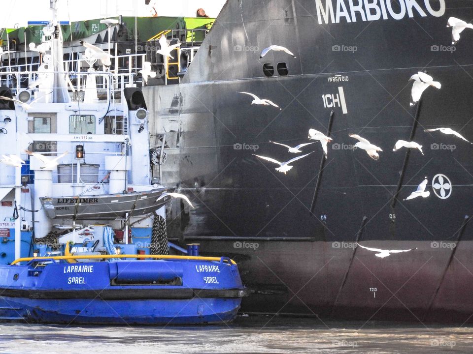Tug boat in the harbour 