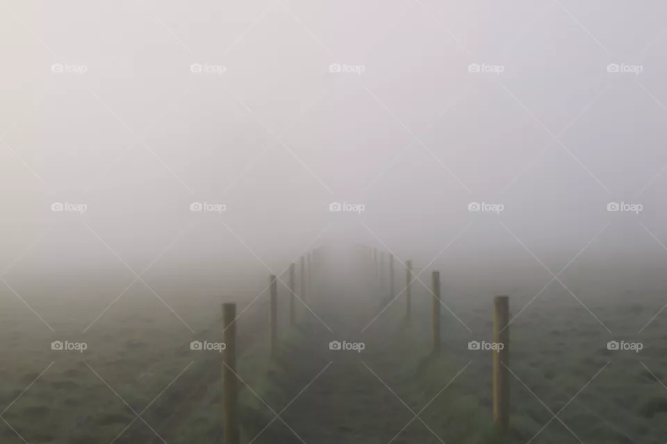fog