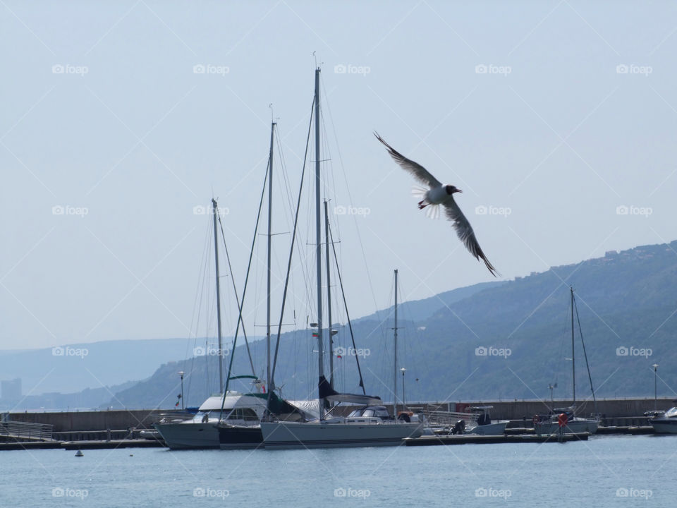 sea boat holiday ship by byg