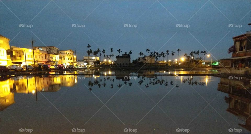 Day and night: nightscape of water(rice) field. beautiful night had  reflections of palm trees, houses, lights, sky.