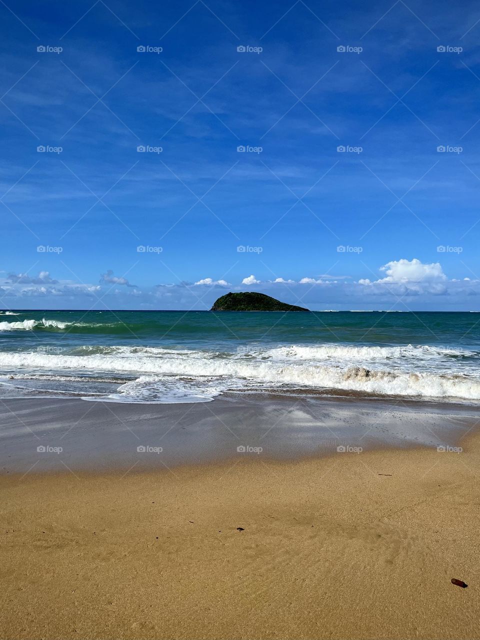 View of a wild beach in the French West Indies