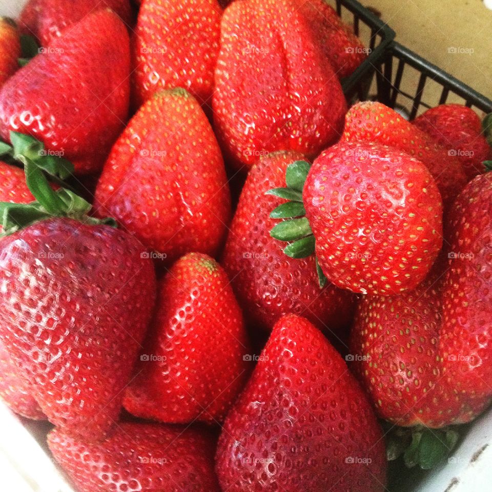 Farm Fresh Strawberries. Freshly picked, sweet and juicy strawberries.
