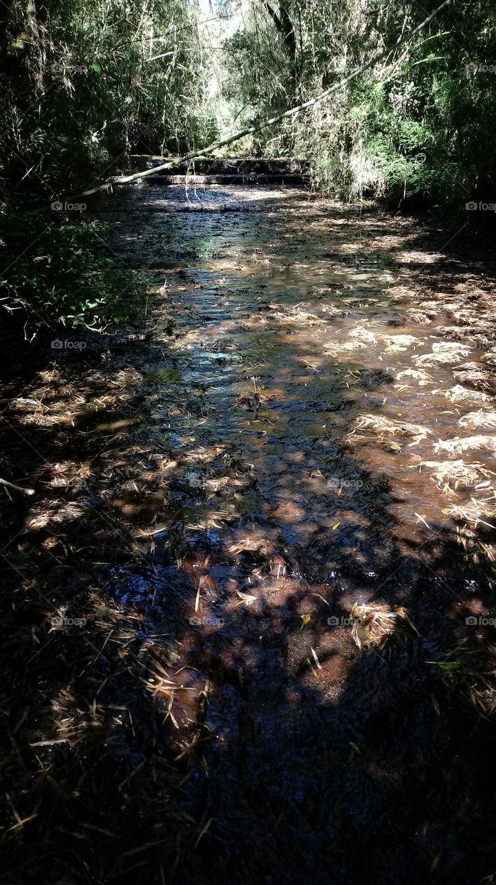 LEITO DE PEDRA DO RIACHO